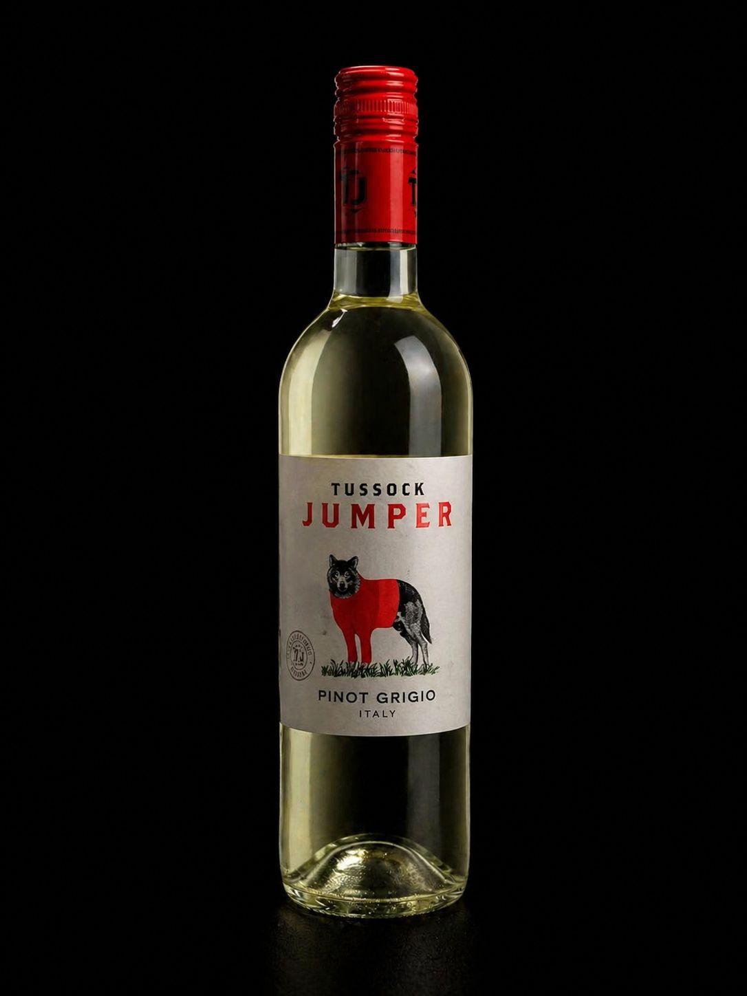 Tussok Jumper Pinot Grigio